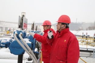 雪映丹心 守护能源动脉——记铁岭输油站运行人员的雪中坚守与管道工程施工服务